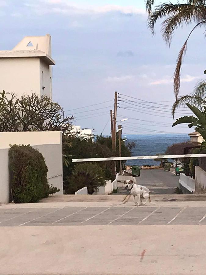 Sunny Holiday By Konnos Paralimni Ngoại thất bức ảnh